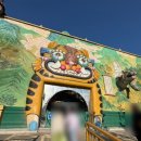 공주시 8호 공원 | 중국 칭다오여행 관광지 명월산해간불야성 비추 후기 입장료 인어공주쇼 왕홍메이크업