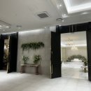 화이트홀 이미지