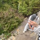 율리지하철역(08030) | Vancouver's summer(2) White rock/Kitsilano beach/Granville Island/Cypress moutain