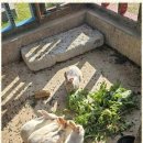 모모 키즈 풀빌라 이미지