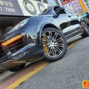 분당-295 이미지