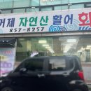 자인농업협동조합 | [경산/식당] 거제자연산회