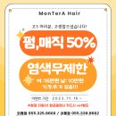 몬테라헤어 네이버블로그