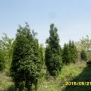 정평로13번길 이미지