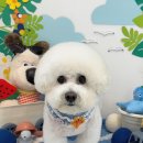 위드뚜뚜 이미지