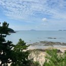 너한쌈나한쌈 | 연수원 숙박후기, 서천연수원 노을관, 서천특화시장, 서천시장통닭, 서천 맛집 삼성냉면, 너한쌈 나한쌈