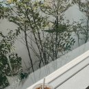 stov(스토브) 이미지