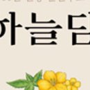 평화의막걸리