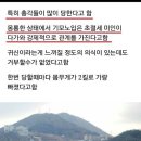 총각들이 잦은 귀접을 당한다는 동네 이미지