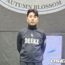 도슨트베이스볼 OSEN