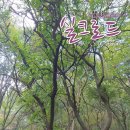 (사)대한잠사회 이미지