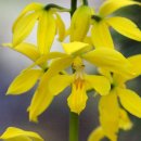 길손공동체 이미지