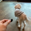 잠두유치원 이미지