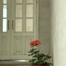 스테이카멜7 이미지