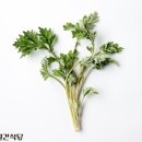 약이 되는 산야초 이미지