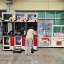 단양팔경휴게소식당 이미지