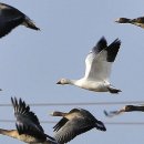 풀밭나라 이미지