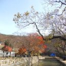 아라메길 (천년미소길-순환) 네이버블로그