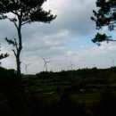 좌가연대 이미지