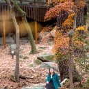 금강공원 이미지