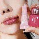 바닐바닐 | 내돈내산 쿨톤 가을틴트 추천, 퓌3D볼류밍 위듀아웃&amp;바닐라듀 후기 발색