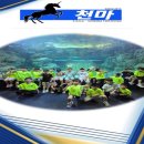 한국체대천마태권도장 이미지