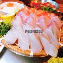 더비치횟집 | 부산 남포동 숙성회 맛집 어푸 횟집