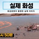 실제 화성탐사로버가 촬영한 화성의 실제 사진 이미지