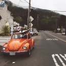 주정차1 이미지