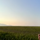 부안 한 태양광발전소 이미지