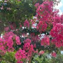 먹적골어린이공원 이미지