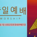 강림전자 티스토리