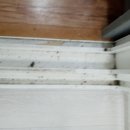 의료원로 이미지