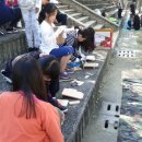 장성초등학교 이미지