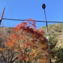 대원사 | 산청 대원사 단풍길 트래킹 후기