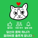 [행복대학] 100세 건강을 위한 행복 걷기 | 내돈내산 마운자로 후기: 2주차