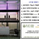 시티팜 네이버블로그