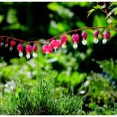 천사의 선물 이미지