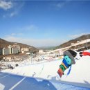 하나콘도 이미지