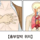 [퍼옴] 🧧생명을 살리는 심폐소생술(CPR) 이미지