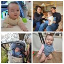 아이 골프 앤 코[545] | 2025.04.09.수 (184일차) 아기간식 공부, 벚꽃구경, 점퍼루 마스터