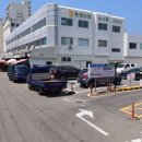 통영참복 | [통영 서호시장] 맛집(만성복집), 회(줄돔, 뿔소라) 리뷰 (+주차장 정보)