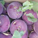 미잠농장 이미지