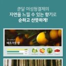 세이프앤워시