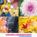 어린이대공원 제7호 이미지