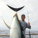 봉곡동335 이미지