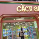 굿뽑기 | 캑티 가차샵 부평점 인형뽑기 추천 내돈내산 솔직후기