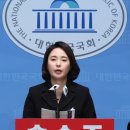 손수조 카카오 검색결과