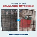 LG 4way 시스템에어컨 청소 달서구 미국버거 매장 후기