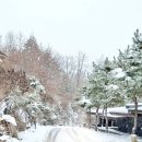 (주)오늘리조트 이미지